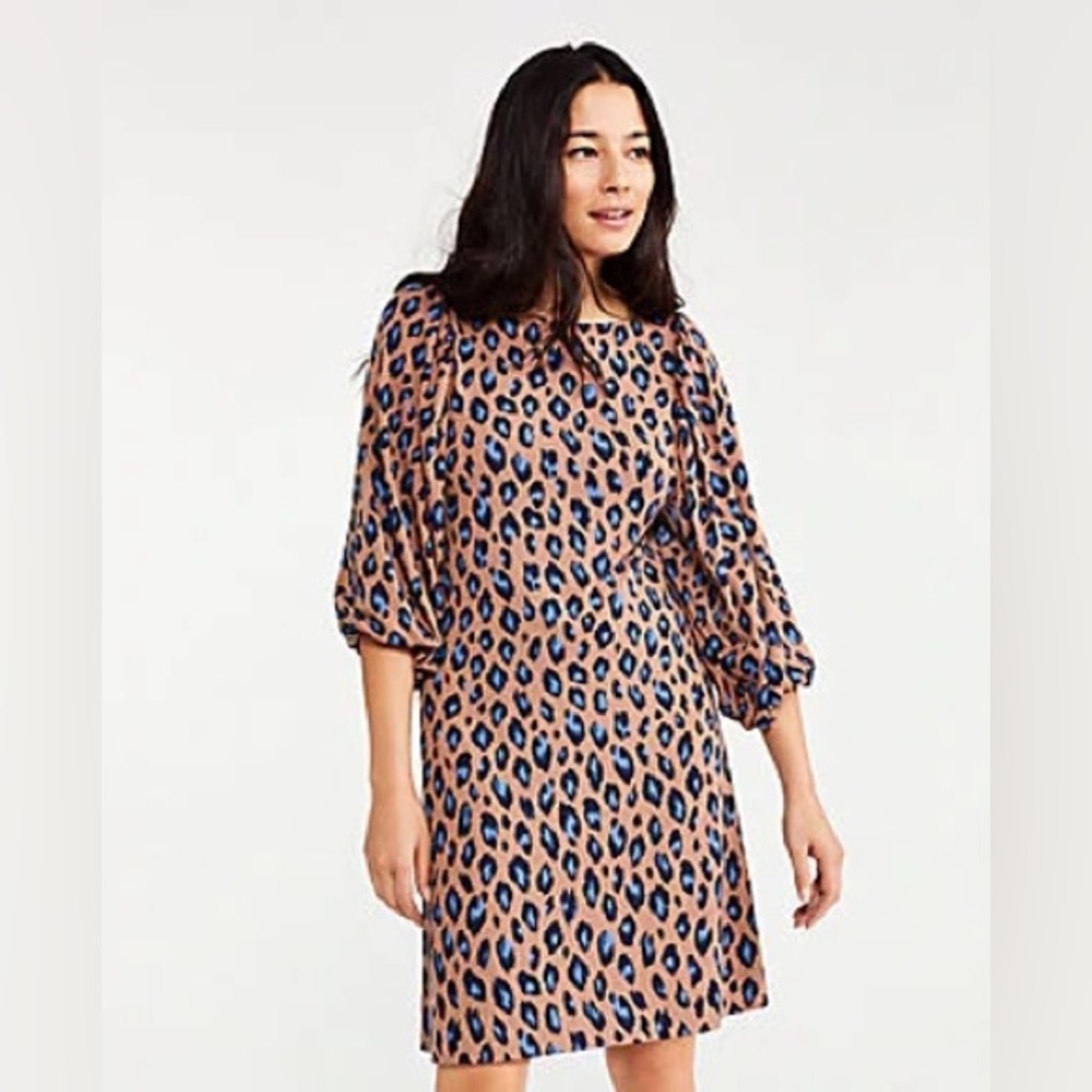 Ann Taylor Leopard Print Blue Shirt Dress NWT